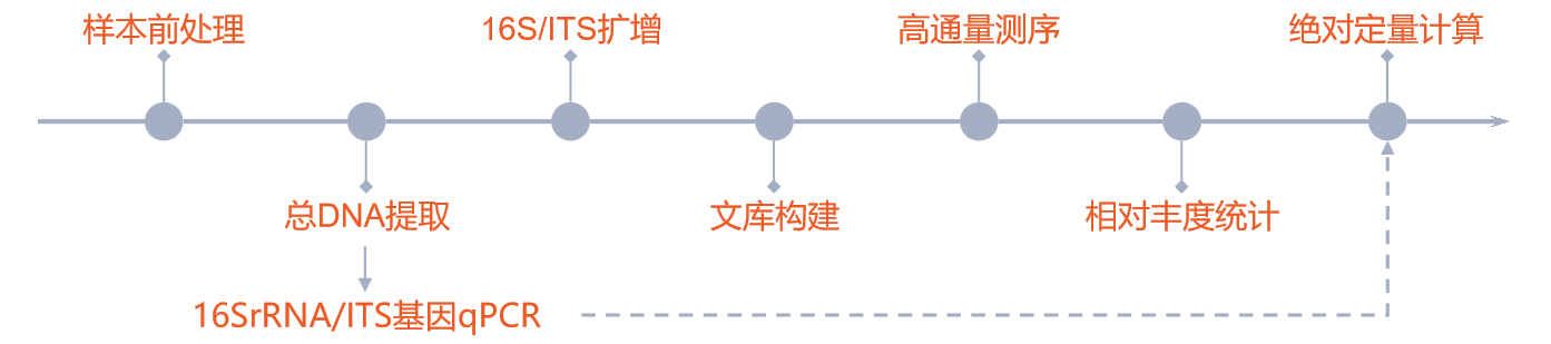 16S实验流程-新.png