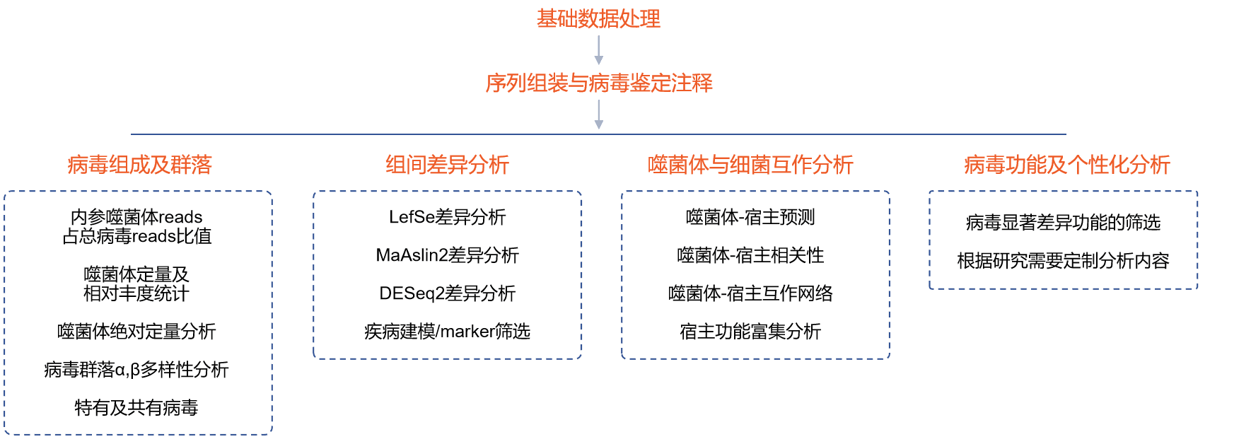 病毒组分析流程-新.png
