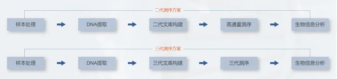 细菌基因组测序分析.jpg